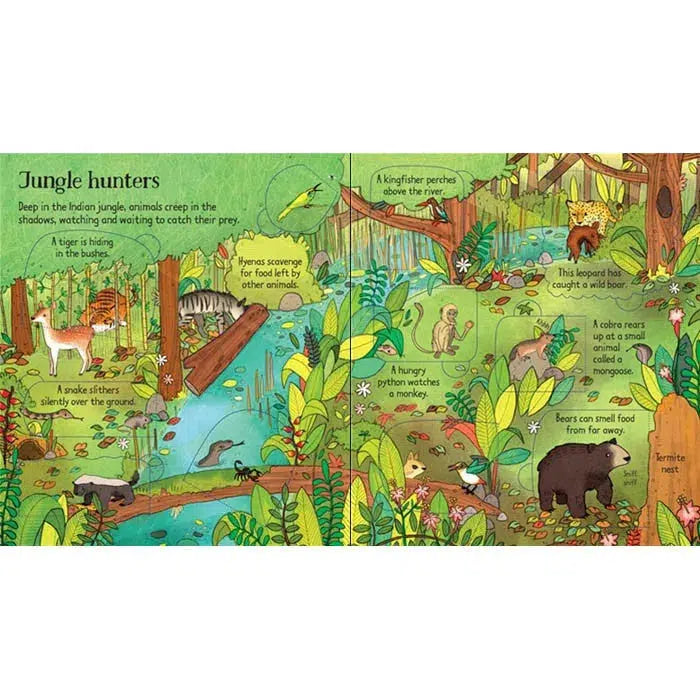 Look inside the Jungle Usborne