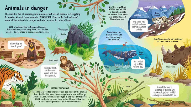 Look inside Animals in Danger Usborne