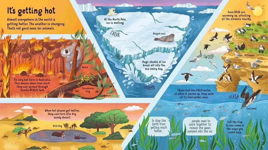 Look inside Animals in Danger Usborne