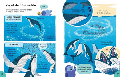 Lots of Things to Know About Animals - 買書書 BuyBookBook