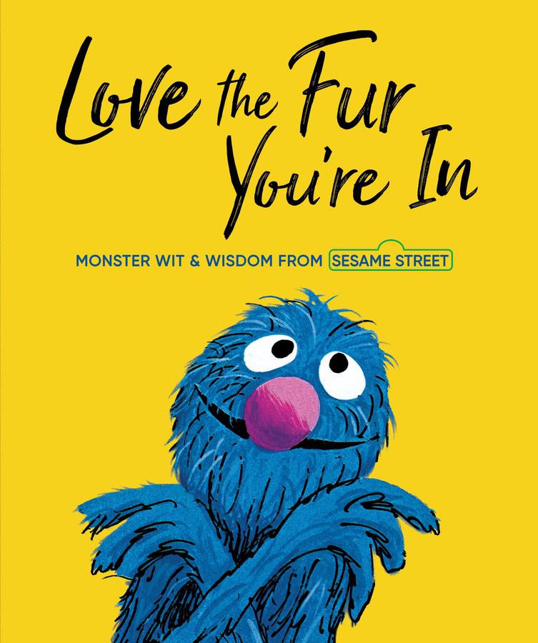 Love the Fur You're In (Sesame Street)-Children’s / Teenage fiction: General and modern fiction-買書書 BuyBookBook