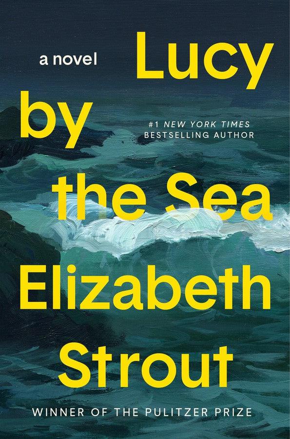 Lucy by the Sea-Modern and contemporary fiction: general and literary-買書書 BuyBookBook