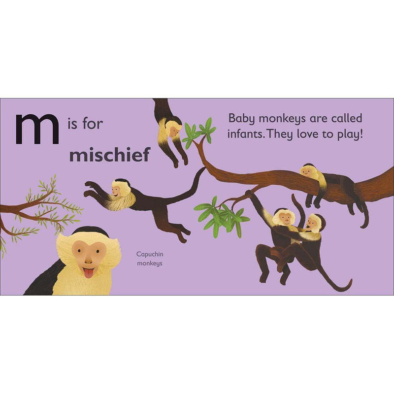 M is for Monkey (Board book) DK UK