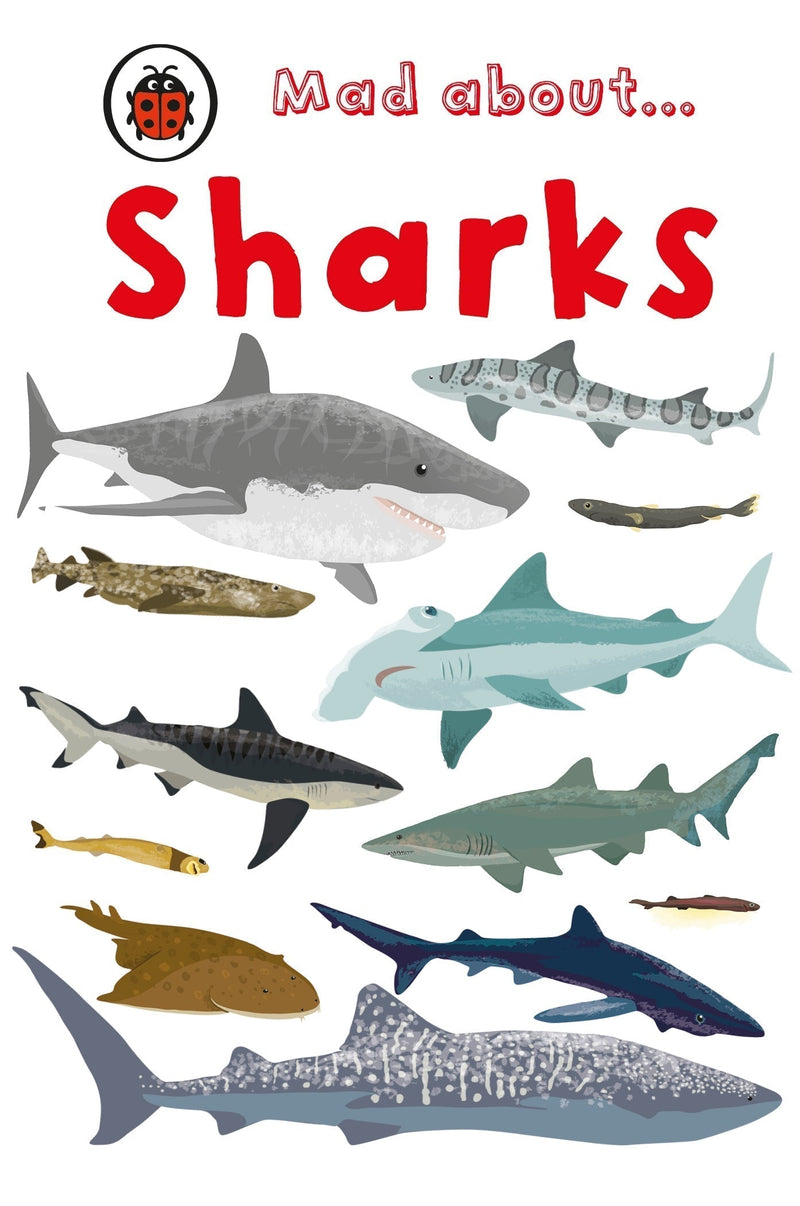 Mad About Sharks-Children’s / Teenage general interest: Nature and animals-買書書 BuyBookBook