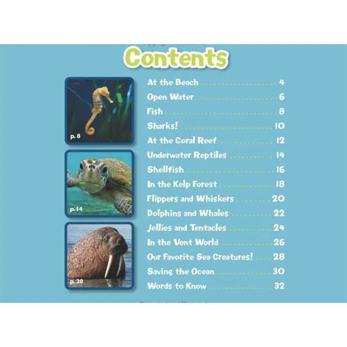 Magic School Bus Presents Sea Creatures Scholastic