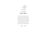 Magic Animal Friends Enchanted Animals Collection (16 Books) Hachette UK