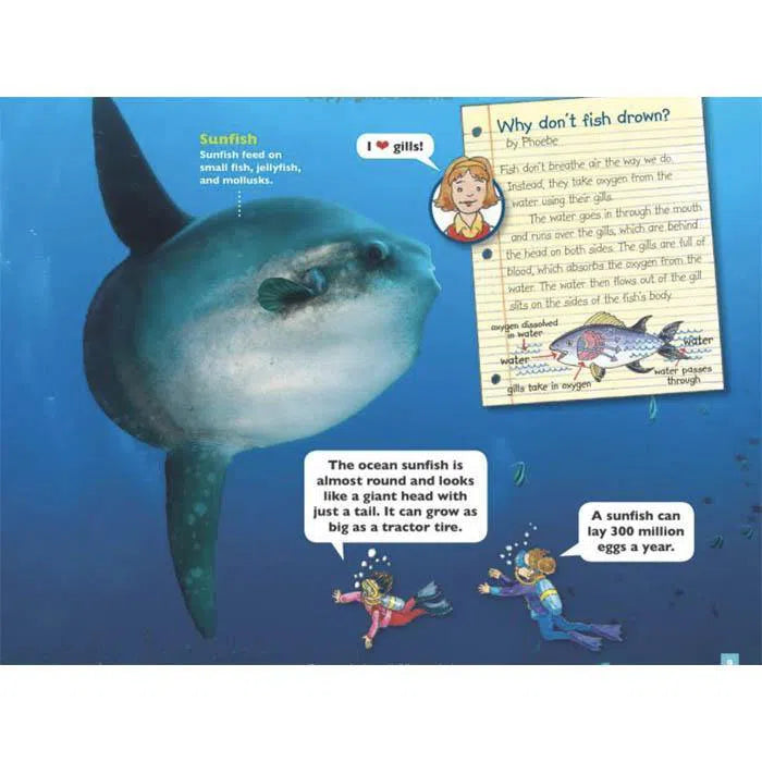 Magic School Bus Presents Sea Creatures Scholastic