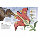 Mammoth Science (Hardback) DK UK