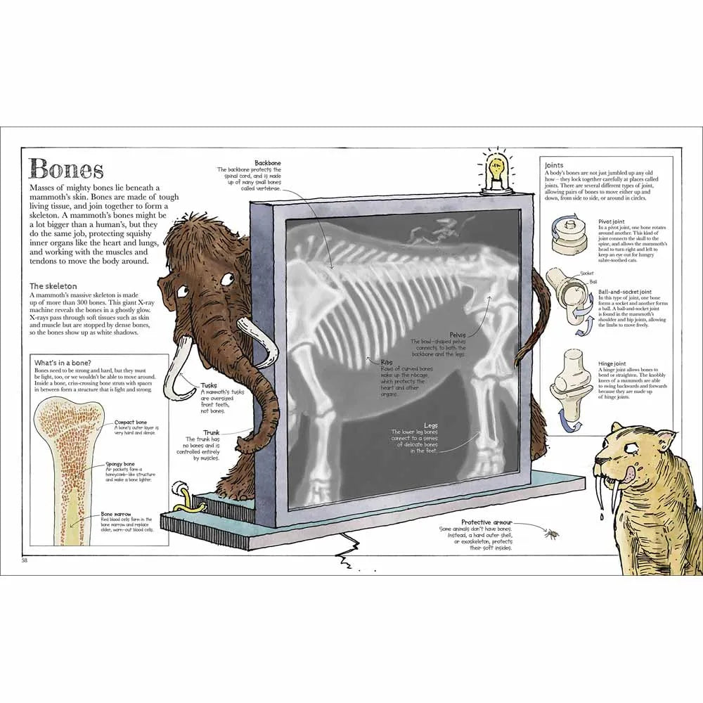 Mammoth Science (Hardback) DK UK