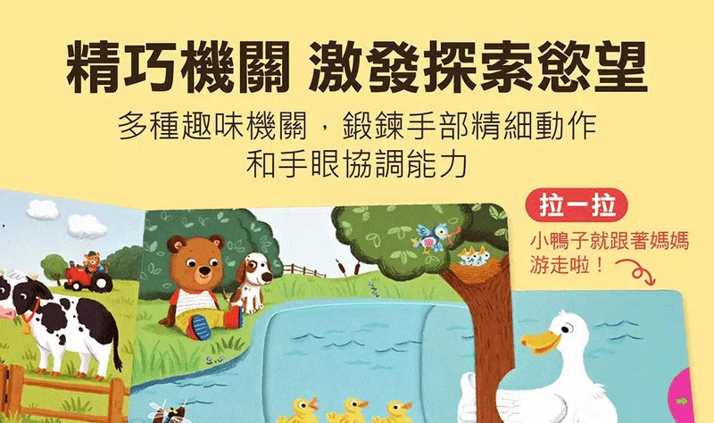 忙碌的小熊：露營旅行趣-非故事: 學前基礎 Preschool Basics-買書書 BuyBookBook