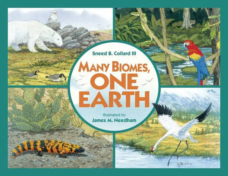 Many Biomes, One Earth-Children’s / Teenage general interest: Nature and animals-買書書 BuyBookBook