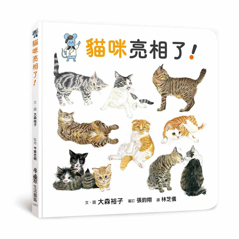 貓咪亮相了！-非故事: 動物植物 Animal & Plant-買書書 BuyBookBook