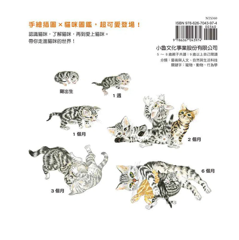 貓咪亮相了！-非故事: 動物植物 Animal & Plant-買書書 BuyBookBook