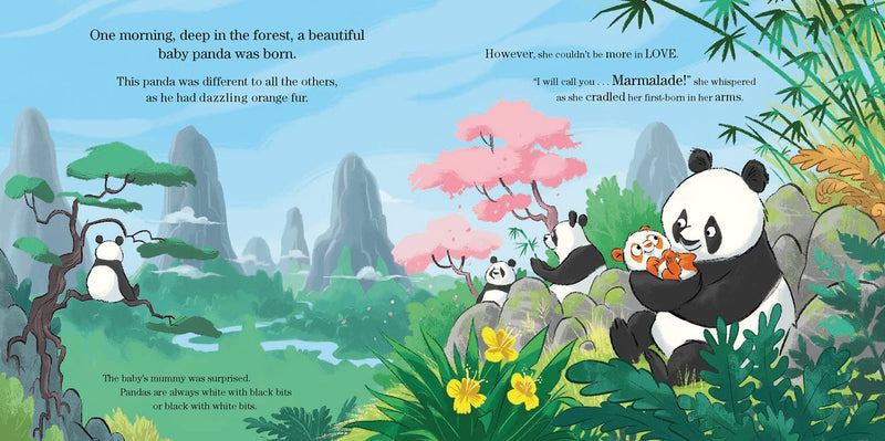 Marmalade - The Orange Panda (David Walliams)-Fiction: 兒童繪本 Picture Books-買書書 BuyBookBook