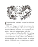 Marvellous Land of Snergs, The-Fiction: 劇情故事 General-買書書 BuyBookBook