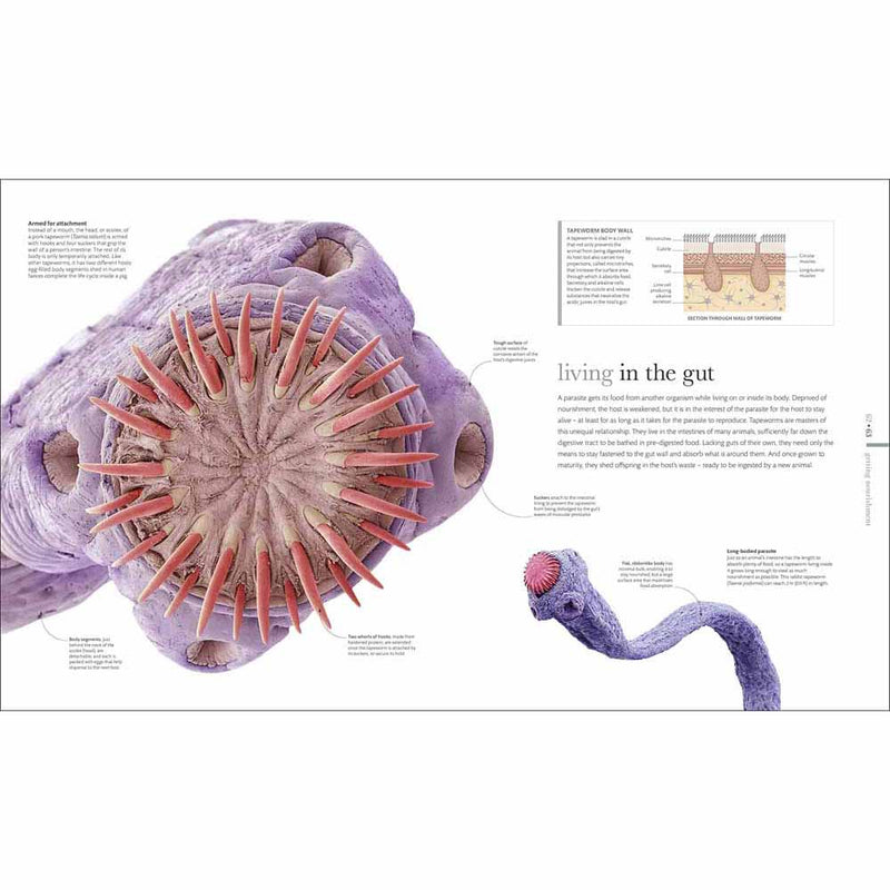 Micro Life (Hardback) DK UK