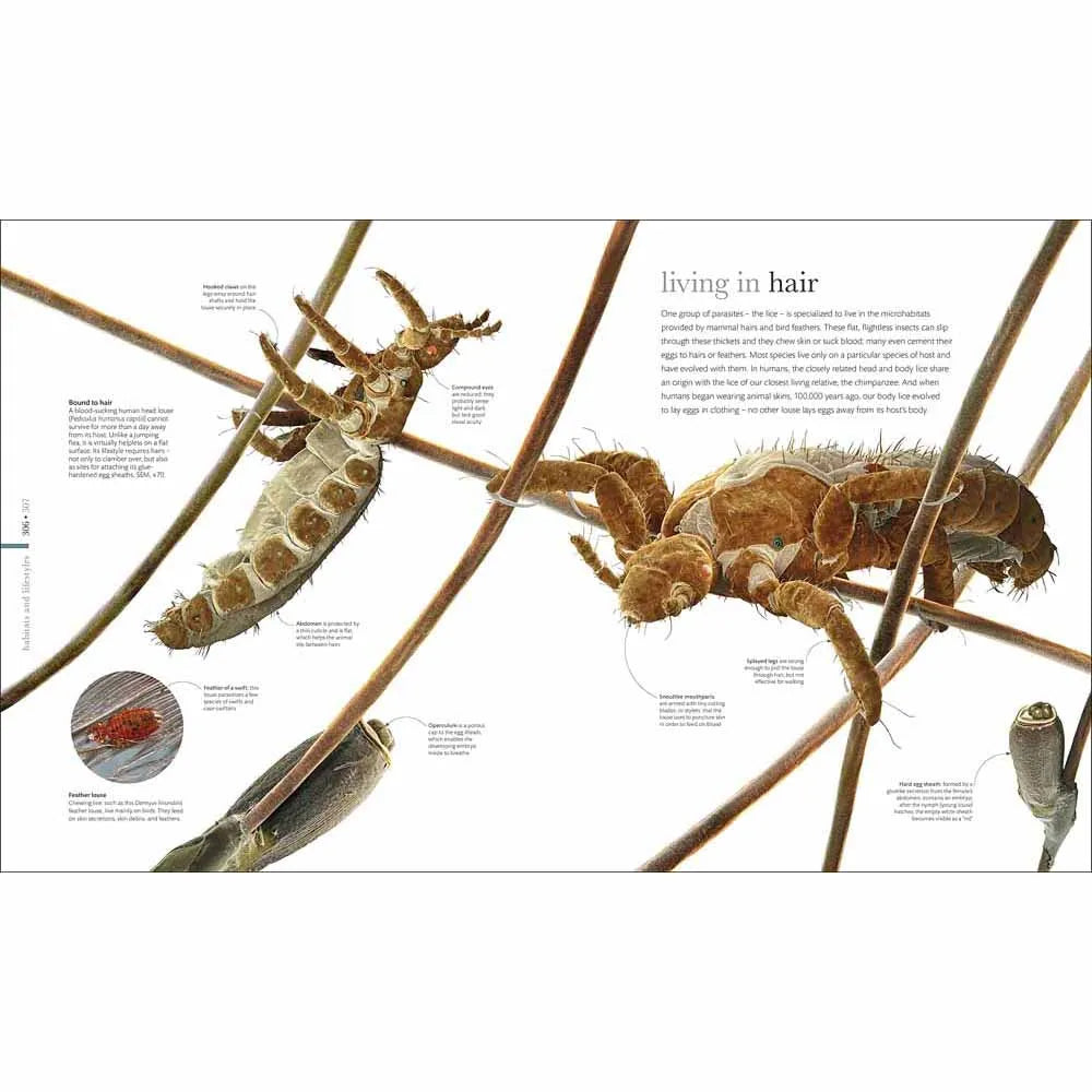Micro Life (Hardback) DK UK