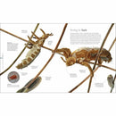 Micro Life (Hardback) DK UK