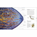 Micro Life (Hardback) DK UK