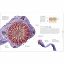 Micro Life (Hardback) DK UK