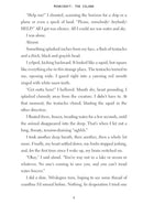 Minecraft: The Island