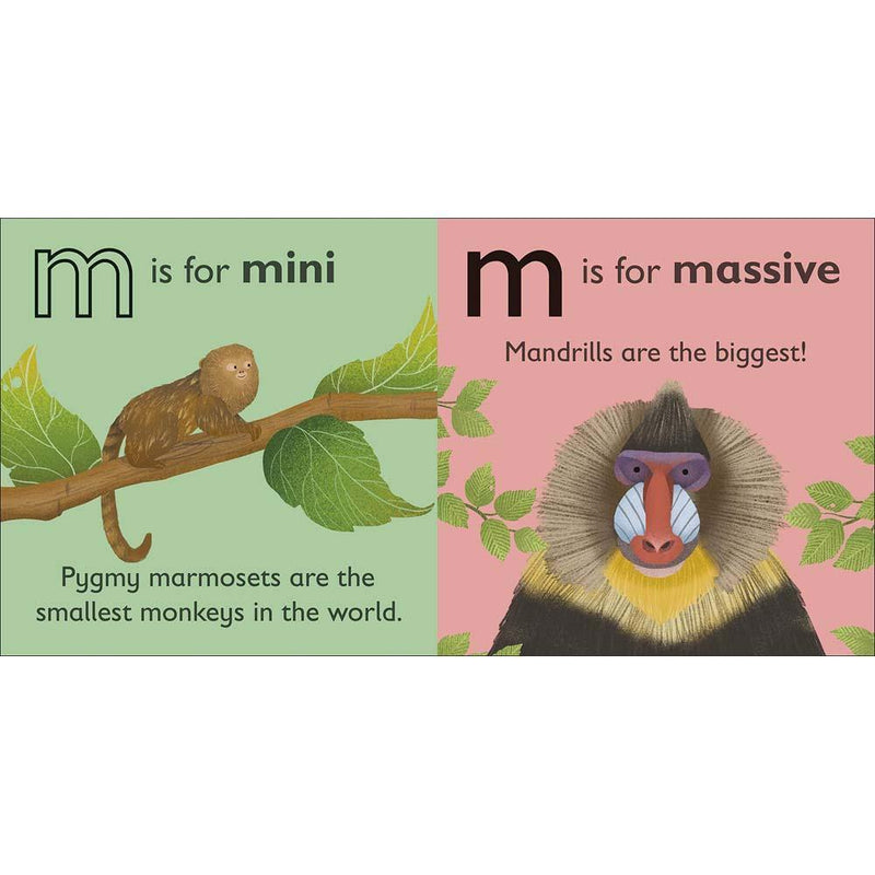 M is for Monkey (Board book) DK UK