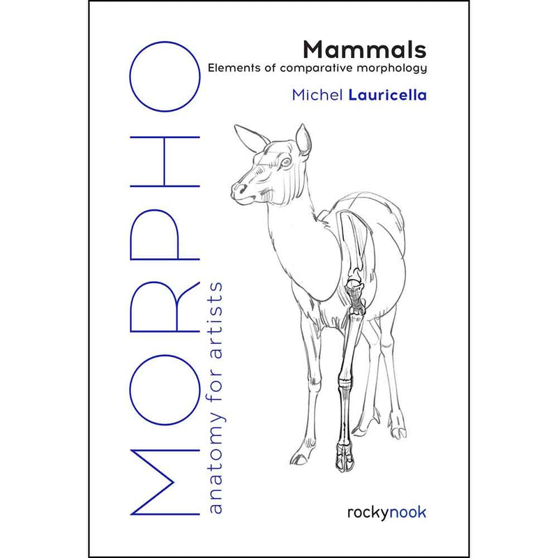 Morpho - Mammals-Activity: 繪畫貼紙 Drawing & Sticker-買書書 BuyBookBook