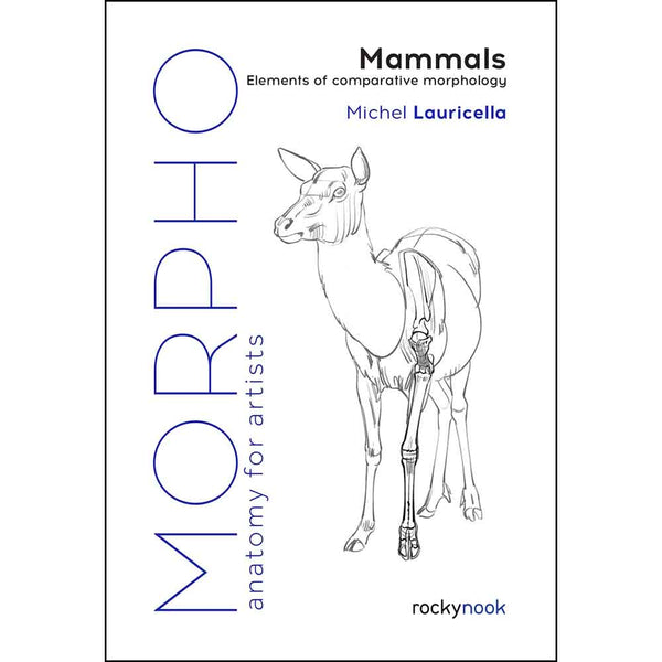 Morpho - Mammals