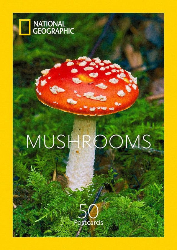 Mushrooms-Nature and the natural world: general interest-買書書 BuyBookBook