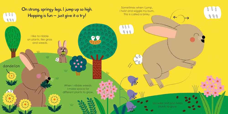 My Little Green World - Rabbit - 買書書 BuyBookBook