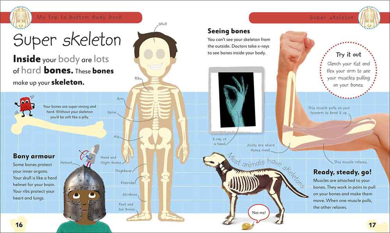 My Top to Bottom Body Book - 買書書 BuyBookBook