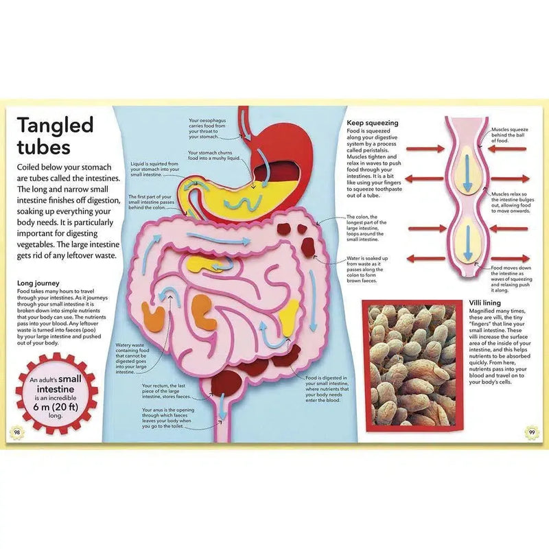 My Amazing Body Machine (Hardback) DK UK