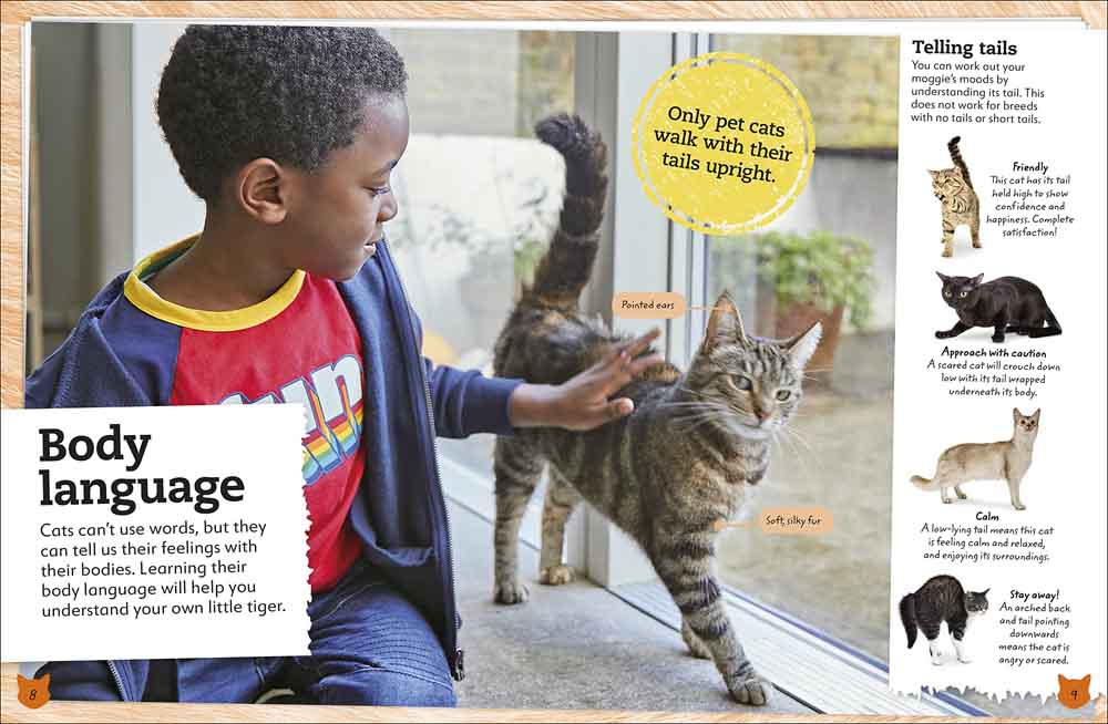 My Book of Cats and Kittens-Nonfiction: 動物植物 Animal & Plant-買書書 BuyBookBook