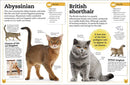 My Book of Cats and Kittens-Nonfiction: 動物植物 Animal & Plant-買書書 BuyBookBook