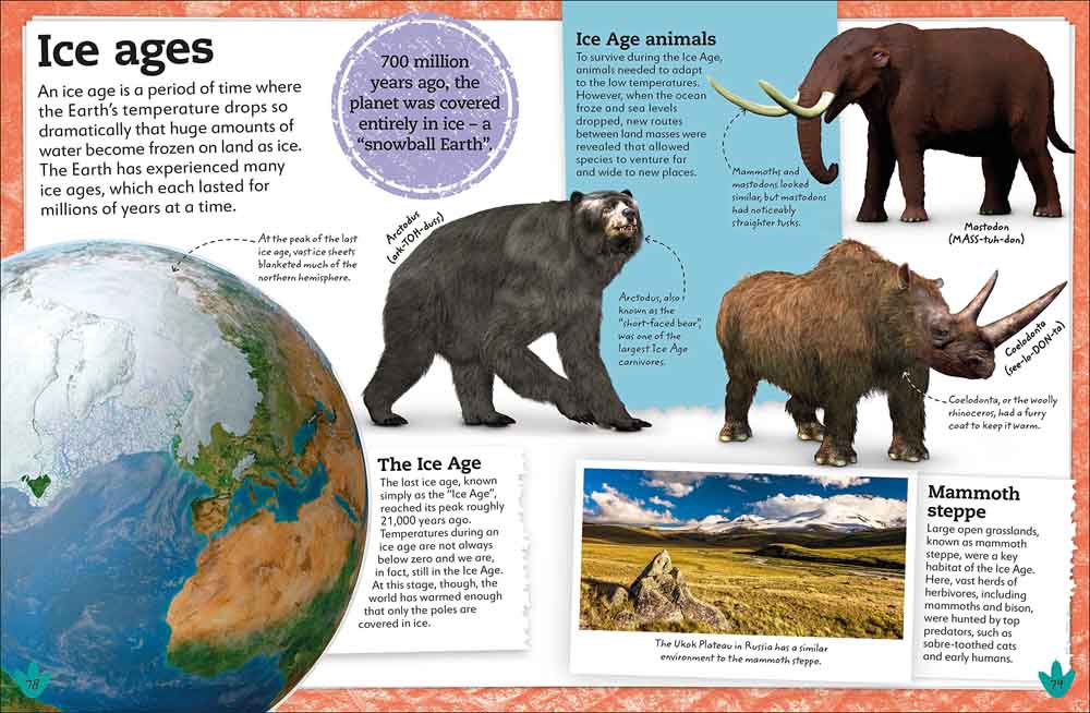 My Book of Dinosaurs and Prehistoric Life - 買書書 BuyBookBook