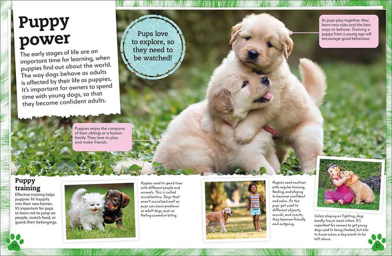 My Book of Dogs and Puppies-Nonfiction: 動物植物 Animal & Plant-買書書 BuyBookBook