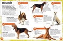 My Book of Dogs and Puppies-Nonfiction: 動物植物 Animal & Plant-買書書 BuyBookBook