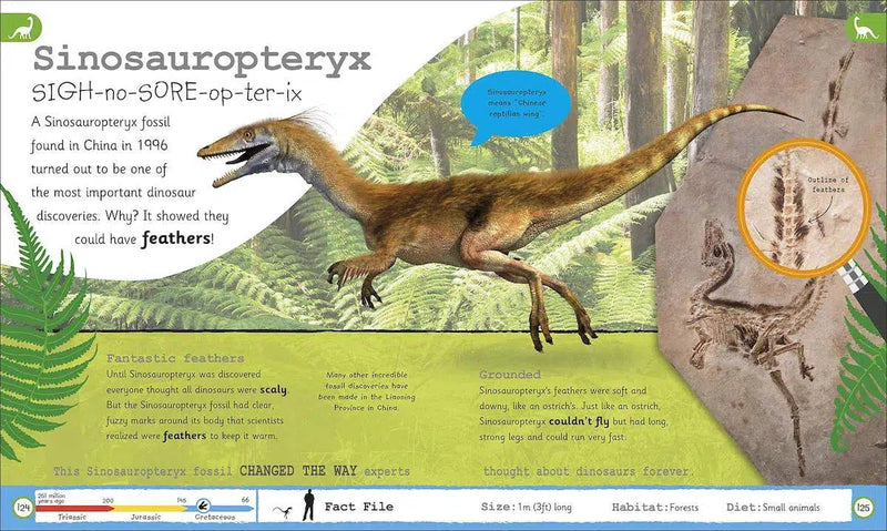 My Encyclopedia of Very Important Dinosaurs (Hardback) DK UK