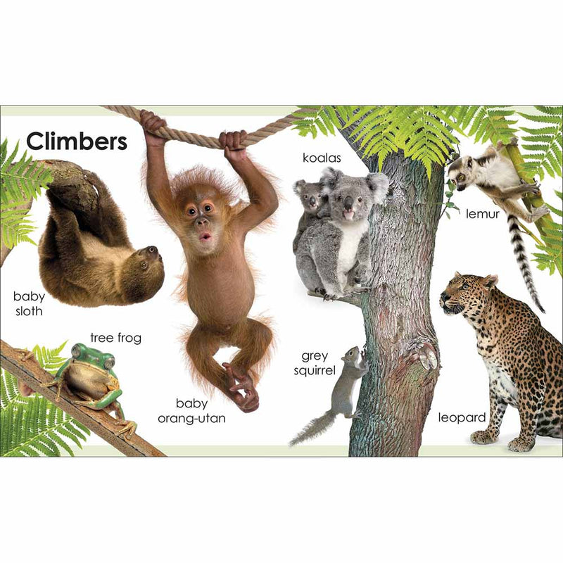 My First Animals (Board Book) DK UK