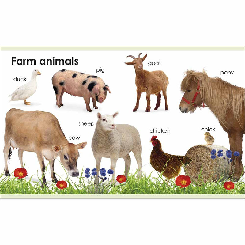 My First Animals (Board Book) DK UK