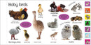My First Baby Animals-Nonfiction: 動物植物 Animal & Plant-買書書 BuyBookBook