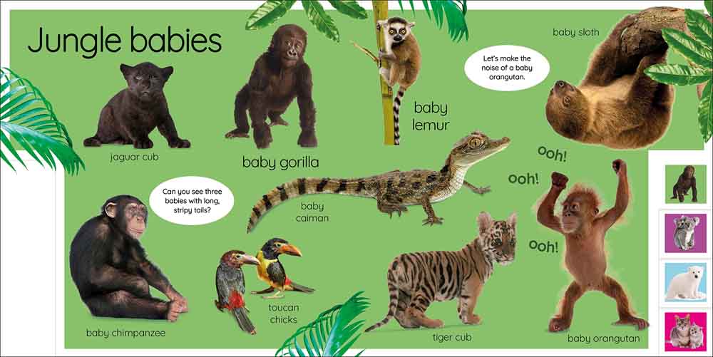 My First Baby Animals-Nonfiction: 動物植物 Animal & Plant-買書書 BuyBookBook