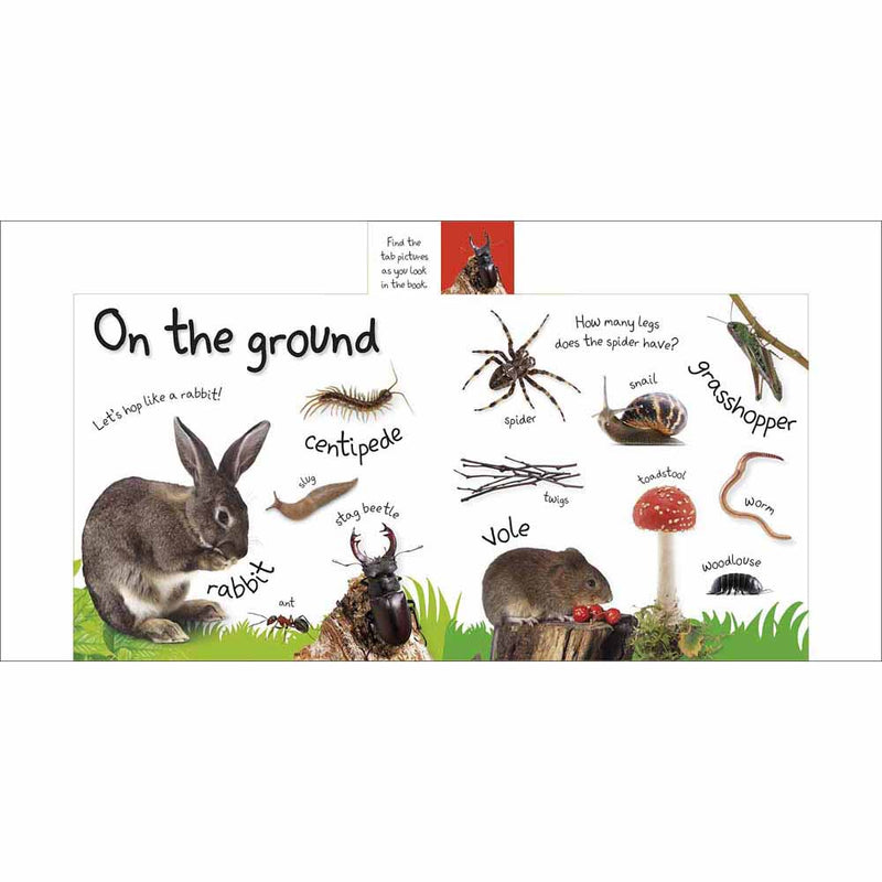 My First Nature Let's Go Exploring (Board Book) DK UK