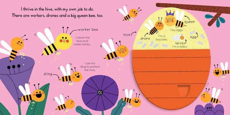 My Little Green World - Honeybee - 買書書 BuyBookBook