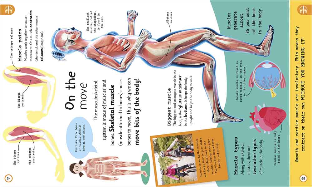 My Very Important Human Body Encyclopedia-Nonfiction: 常識通識 General Knowledge-買書書 BuyBookBook