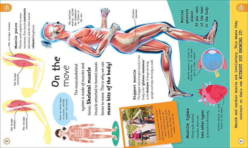 My Very Important Human Body Encyclopedia-Nonfiction: 常識通識 General Knowledge-買書書 BuyBookBook