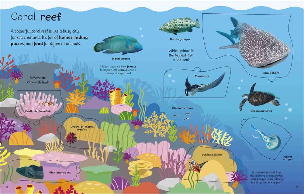 My Very Important Lift-the-Flap Book - Animals-Nonfiction: 常識通識 General Knowledge-買書書 BuyBookBook