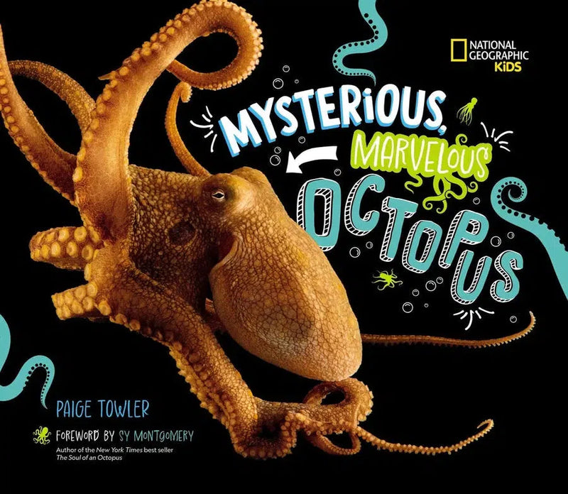 Mysterious, Marvelous Octopus!-Children’s / Teenage general interest: Fish and marine life-買書書 BuyBookBook