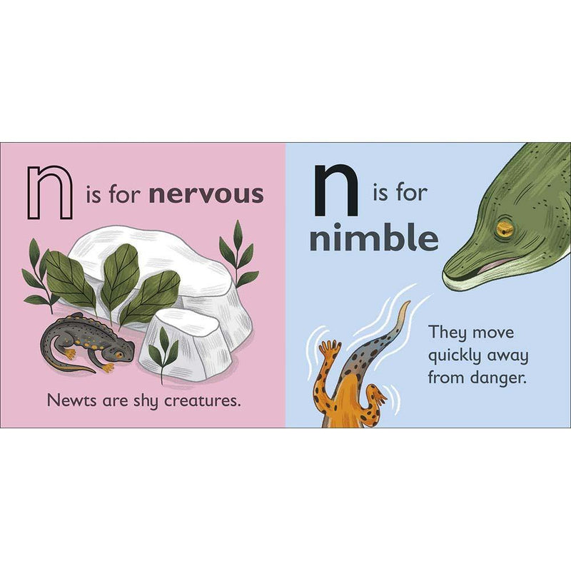 N is for Newt (Board book) DK UK