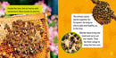 Explore My World: Honey Bees